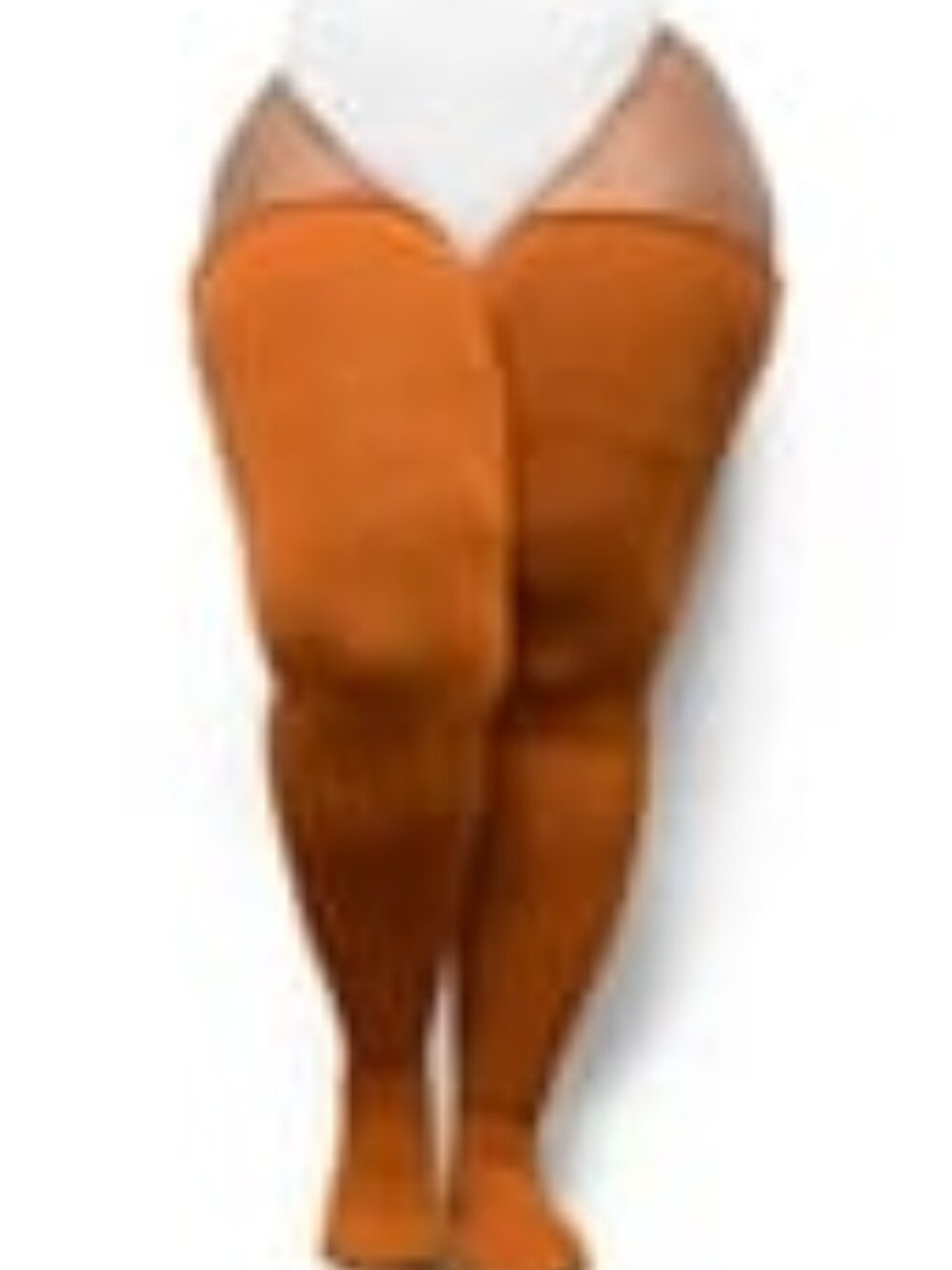 Thunda Thighs — Rusty Pumpkin — Plus Size Hosiery